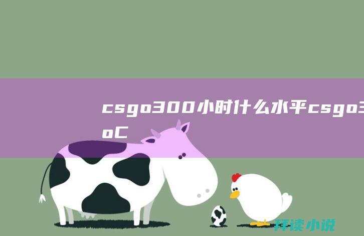 csgo300小时什么水平csgo30人C